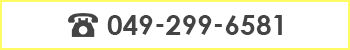 tel:049-299-6581